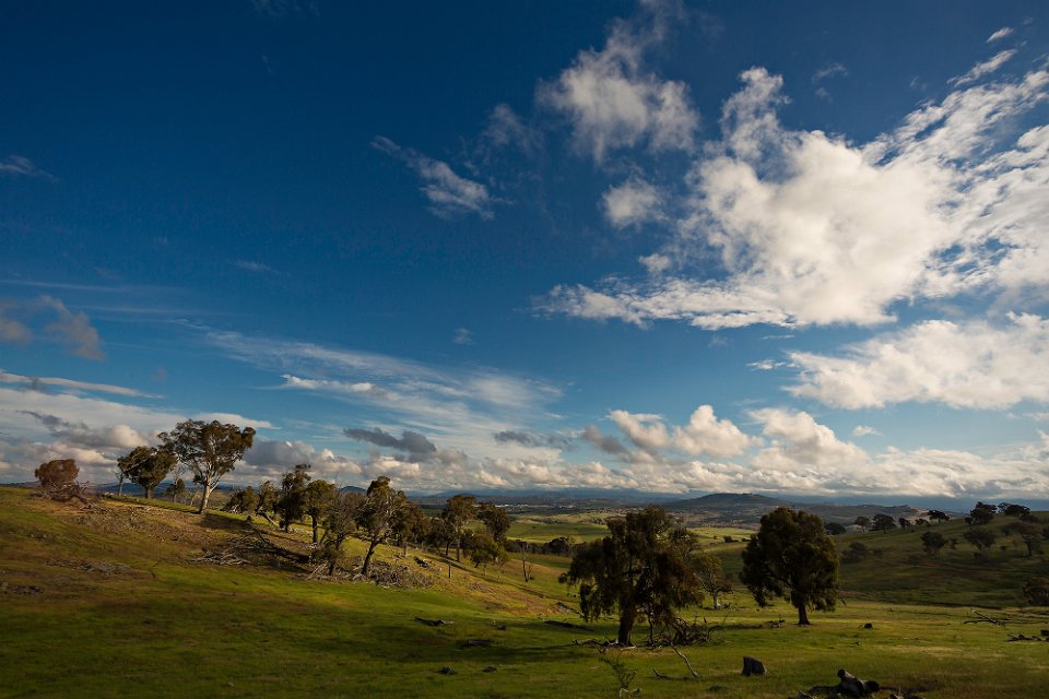 canberra morning